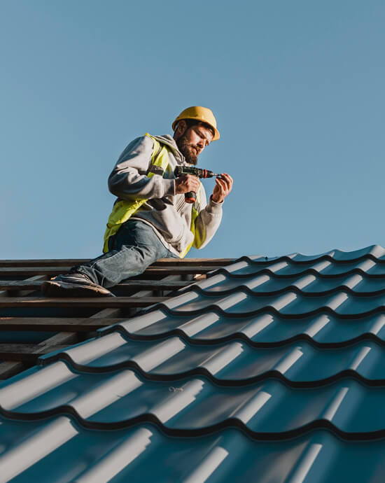 Professional_Roofing-img